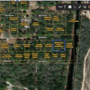 0.45 acres in Bell, Florida (Gilchrist County) - APN 08-09-14-0023-000E-0020 (photo 12)